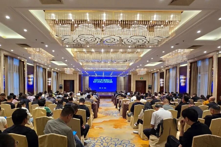 西投控股所屬?lài)?guó)信小貸受邀為全省小貸公司進(jìn)行業(yè)務(wù)培訓(xùn)